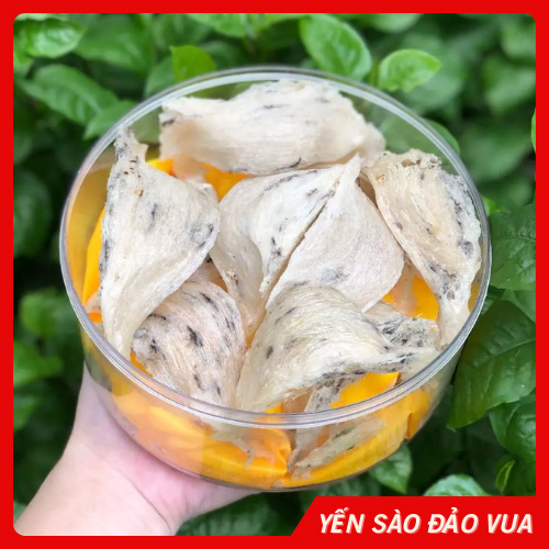 Tổ Yến Thô 50gr